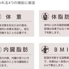 薄型[高精度]体脂肪計/体組成計タニタFS-101の画像