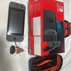 任天堂Switchと専用ケースとamiiboセット