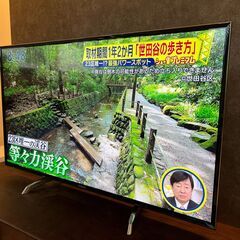 Panasonic 4K TH-49DX750 2017年製 液晶テレビ