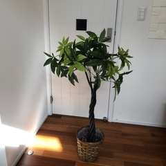 フェイクグリーン　造花