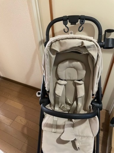 サイベックス　メリオカーボン　2022