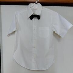 式服　ブラウス　150の画像