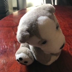 ぬいぐるみオルゴール付の画像