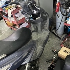 シグナスの画像