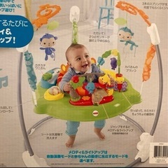 フィッシャープライスレインフォレスト