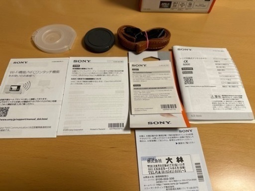 SONY α6000