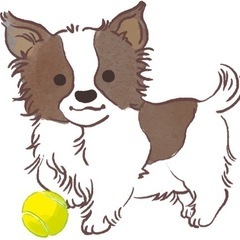 テニス同好会🎾