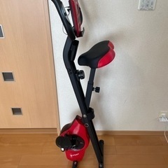 STEADY フィットネスバイクの画像