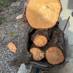 薪ストーブにどうですか？の画像