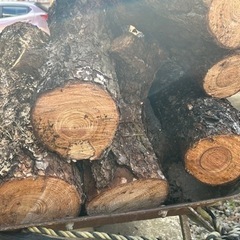 薪ストーブにどうですか？