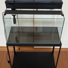 60cm 水槽、ラック、上部フィルター、LEDライト　４点セット