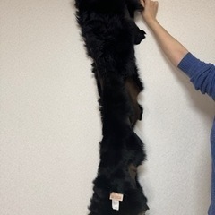 ブランド品、羊革の画像