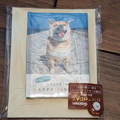 柴犬　メッセージカード