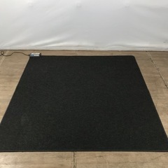 YAMAZEN 山善　電気カーペット　SUS-201 2018年製の画像