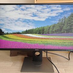 27インチ フルHD 液晶モニター / Dell P2717H
