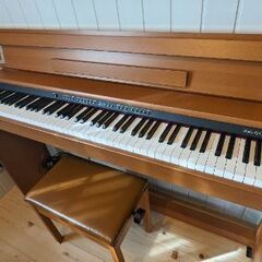 本格 電子ピアノ Roland ローランド DP-900 中古