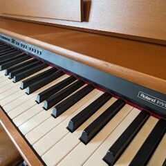 本格 電子ピアノ Roland ローランド DP-900 中古-ニトリ
