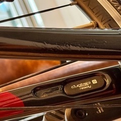 TREK Domane SL5 2019 105 11速 サイズ50の画像