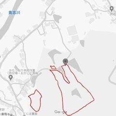 海南市の山林（平坦でキャンプやドッグランに使える部分もあります） - 海南市