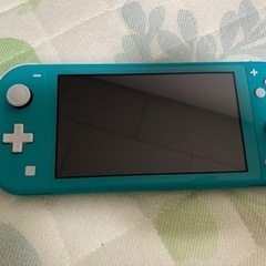 【美品箱付き】Nintendo Switch Lite バイオハザード付き　値下げ交渉あり