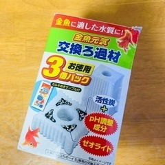 金魚　1匹の画像