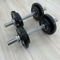 【中古】ダンベル　10キロ＊2つ
