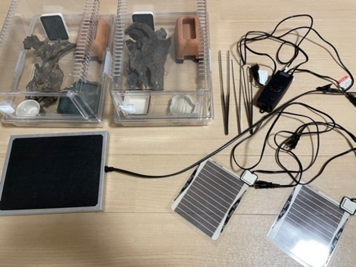 ※3/10までの販売 【限定値下げ中】 爬虫類飼育セット まとめ売り【値下げ交渉有】