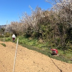 農業体験🧑‍🌾よろこびファーム　蒲郡