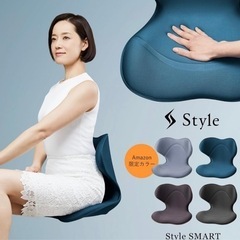 スタイルスマート MTG 骨盤サポートチェアの画像