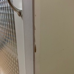 ワンコインで❗️ガラスキャビネットの画像