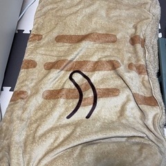 ふくふくにゃんこ　着る毛布の画像