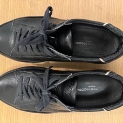 PHILIPPE MODEL paris 260cmの画像