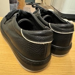 PHILIPPE MODEL paris 260cmの画像