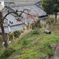 庭土庭石4トン分無料配達します