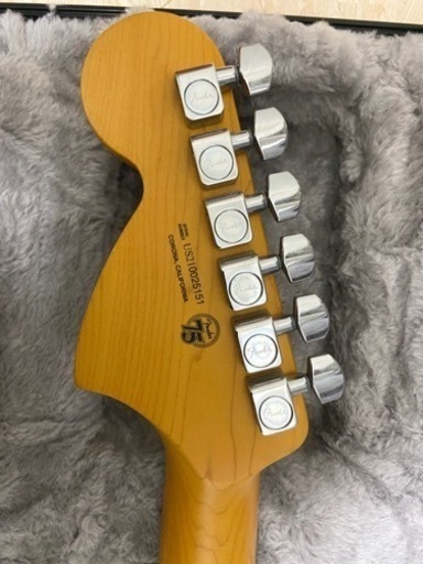 Fender American Professional II Telecaster Deluxe Rosewood Fingerbo