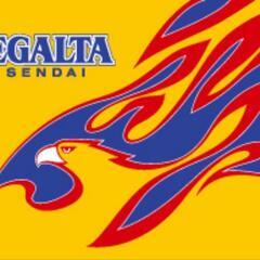 【同行者募集】3/10 13:00〜 ベガルタ仙台対水戸ホーリーホック