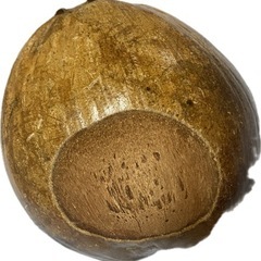 ココナッツ🥥🌴飾りの画像