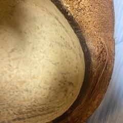 ココナッツ🥥🌴飾りの画像