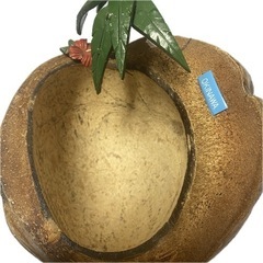 ココナッツ🥥🌴飾りの画像