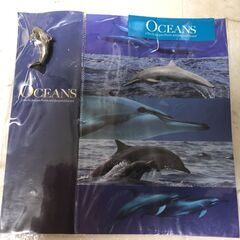 【引取先決まりました】イルカのピンズ（詳細不明）差し上げます。