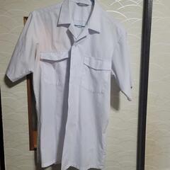 中学校　制服　半袖ワイシャツ