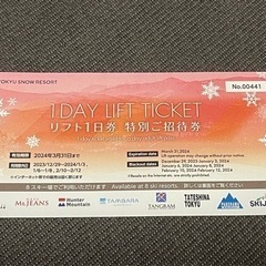 【商談中】東急スノーリゾート リフト券 おまけ付き