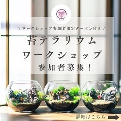 苔テラリウムワークショップ