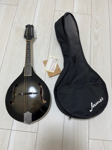 フラットマンドリン