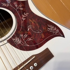 エピフォン　ハミングバード　プロ　Epiphone Hummingbirdの画像