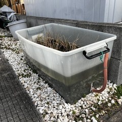 ミニ水田(稲の成育〜収穫体験用)の画像