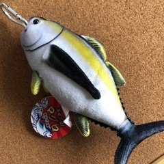 ぶるぶるマグロ　タグ付き
