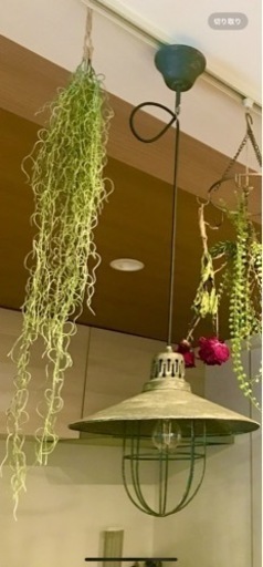 家具 照明器具