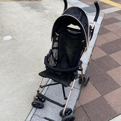 SmartAngelバギー＊美品ですの画像