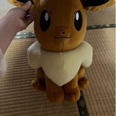 イーブイ　ポケモン　ぬいぐるみ